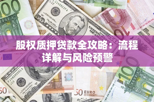 武汉股权质押贷款全攻略：流程详解与风险预警