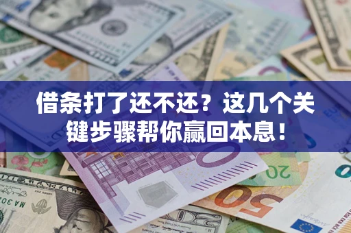 武汉借条打了还不还？这几个关键步骤帮你赢回本息！