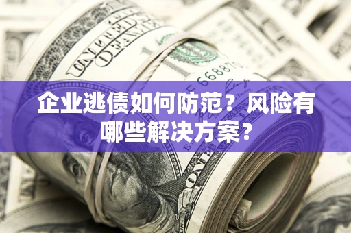 武汉企业逃债如何防范？风险有哪些解决方案？