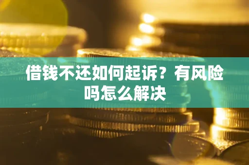武汉借钱不还如何起诉？有风险吗怎么解决