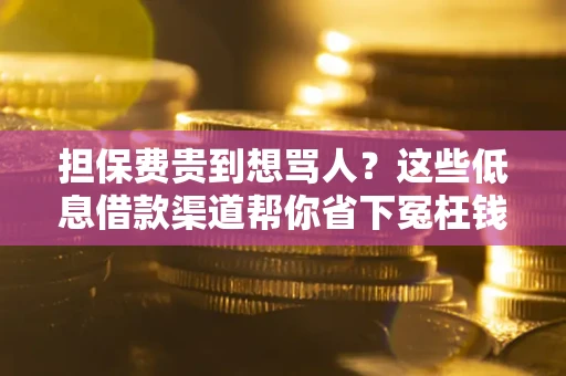 武汉担保费贵到想骂人？这些低息借款渠道帮你省下冤枉钱