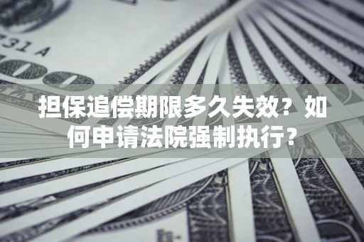 武汉担保追偿期限多久失效？如何申请法院强制执行？