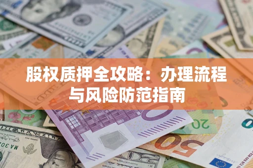 武汉股权质押全攻略：办理流程与风险防范指南