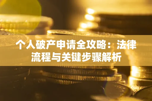 武汉个人破产申请全攻略：法律流程与关键步骤解析