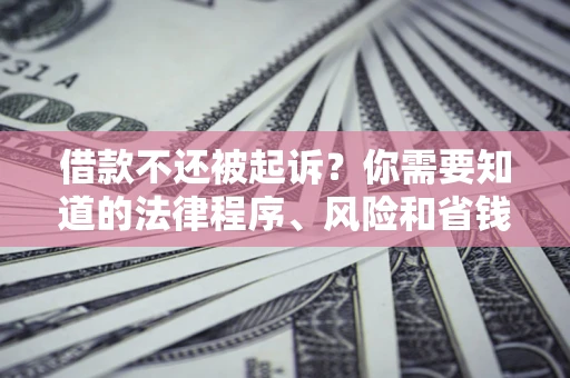 武汉借款不还被起诉？你需要知道的法律程序、风险和省钱技巧